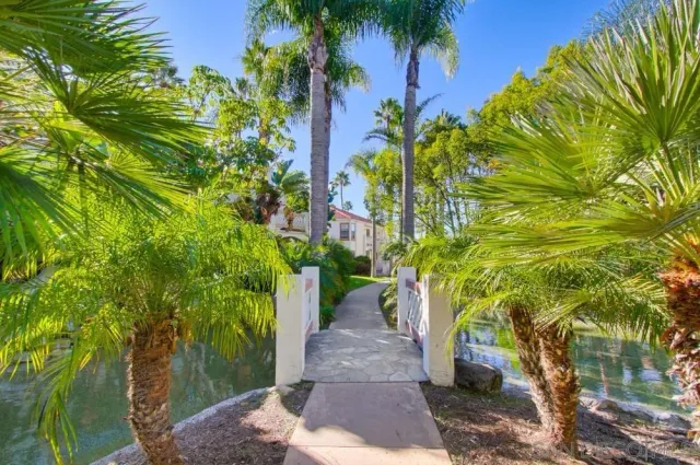 a view of a garden with plants