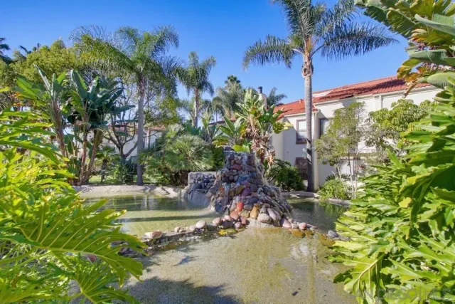 a view of a park with large trees
