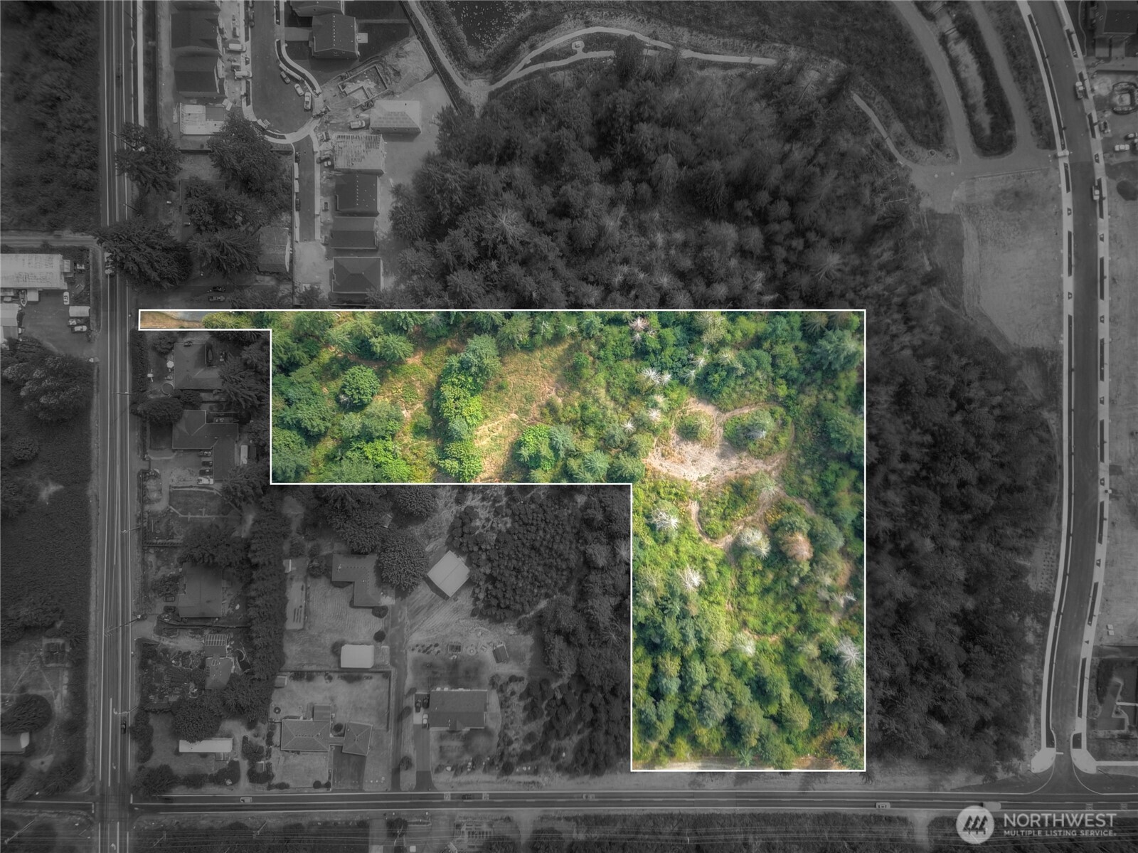 2411 Sleater Kinney Road Northeast Olympia, WA 98506 - Photo 4 of 14 a view of outdoor space and yard