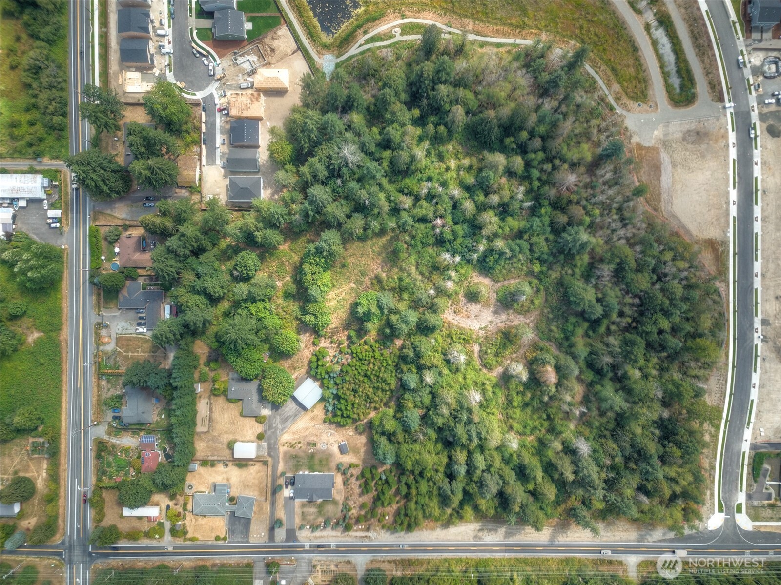 2411 Sleater Kinney Road Northeast Olympia, WA 98506 - Photo 5 of 14 a view of a yard