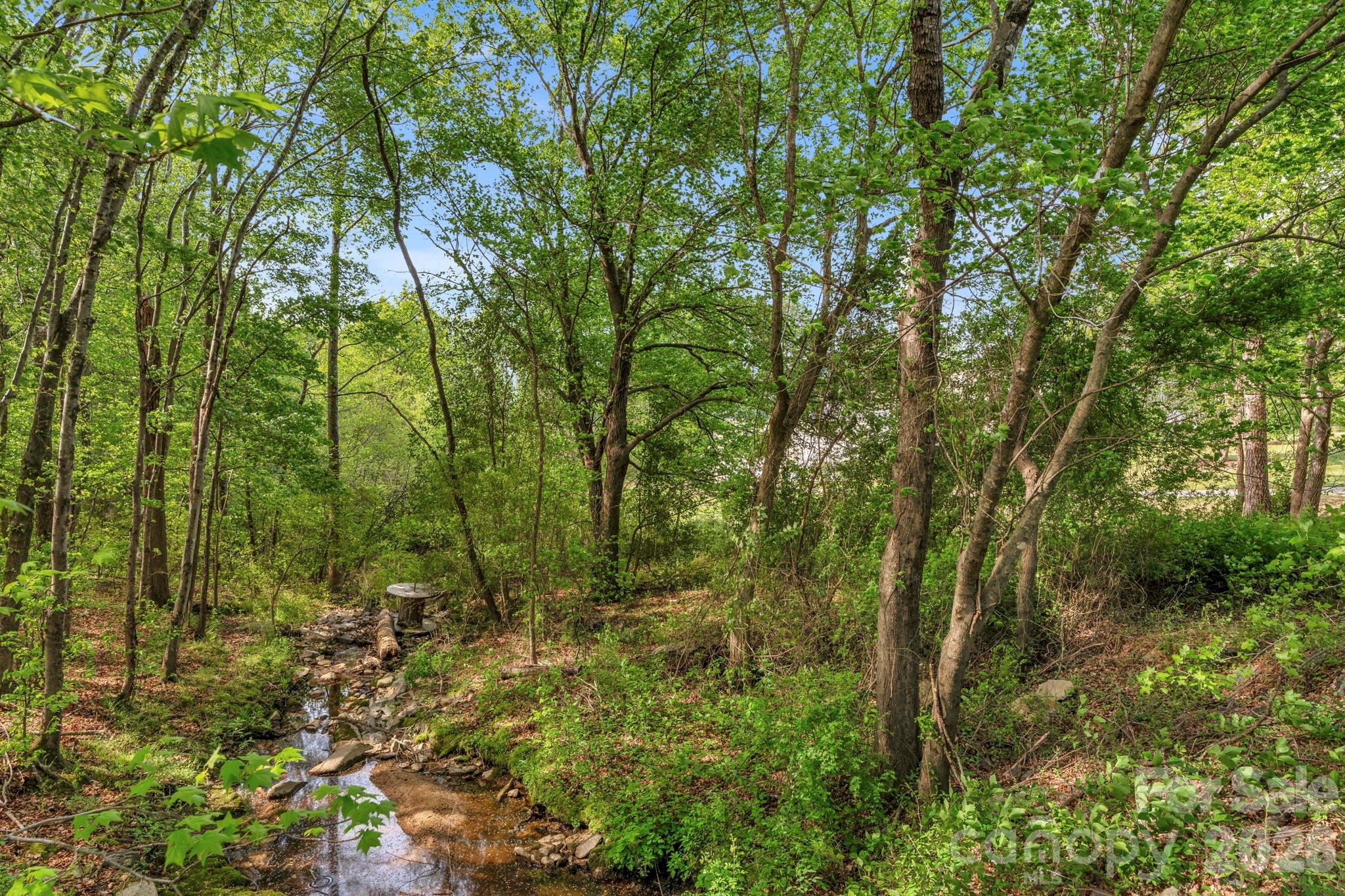 15015 Pawnee Trail Matthews, NC 28104 - Photo 29 of 39 a view of a lush green forest