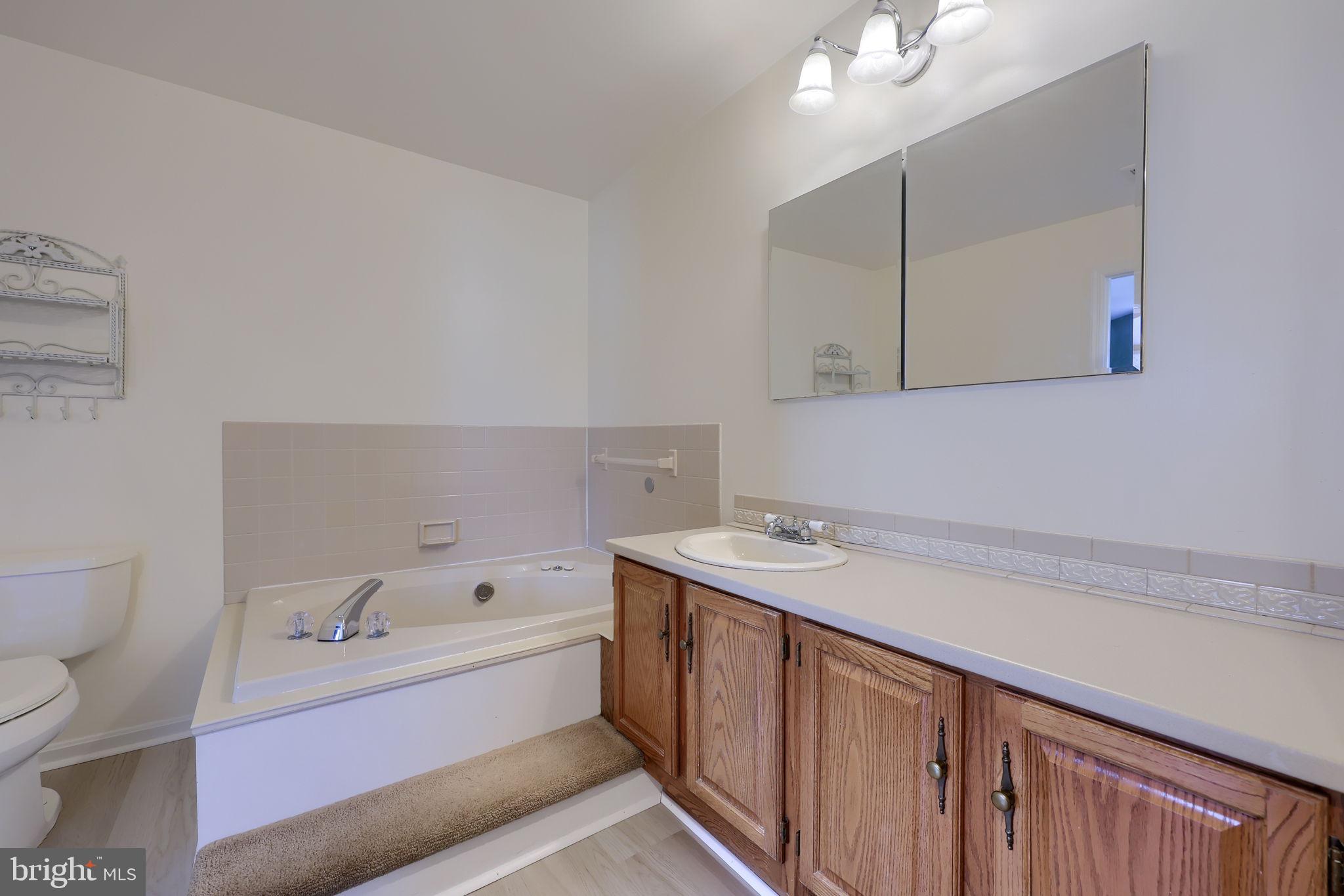 110 Pepperton Court Lititz, PA 17543 - Photo 28 of 32 Spay-like ensuite