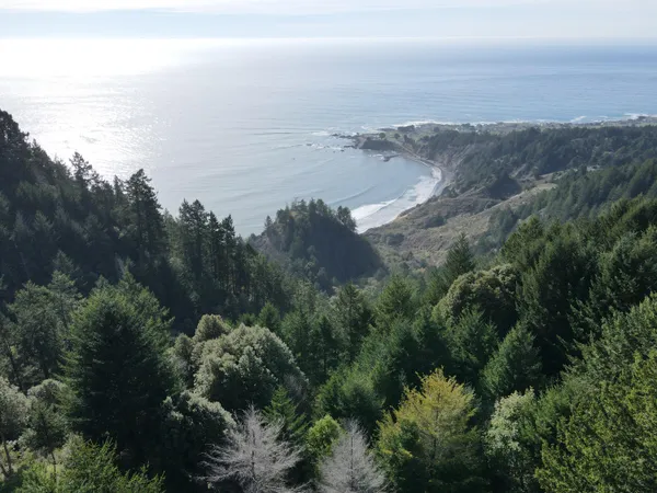 $29,000 | 181-165 Ranger Court, Shelter Cove, CA 95589
