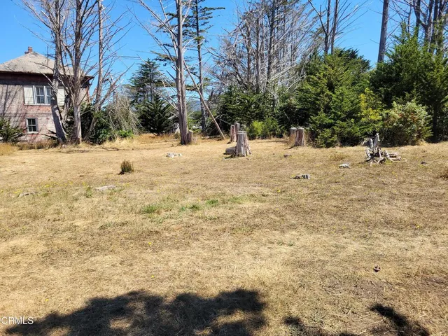 a street view covered with snow