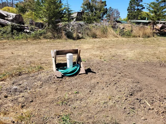 a view of a backyard