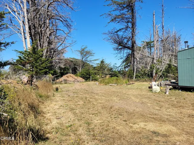 a view of backyard of the house