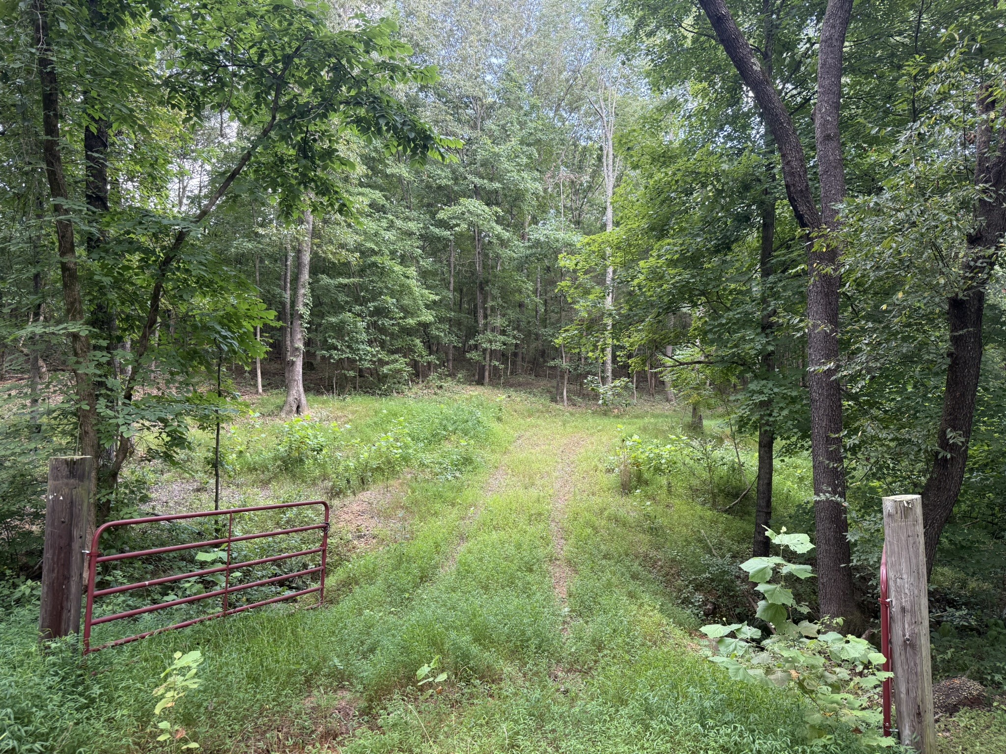 a view of a park