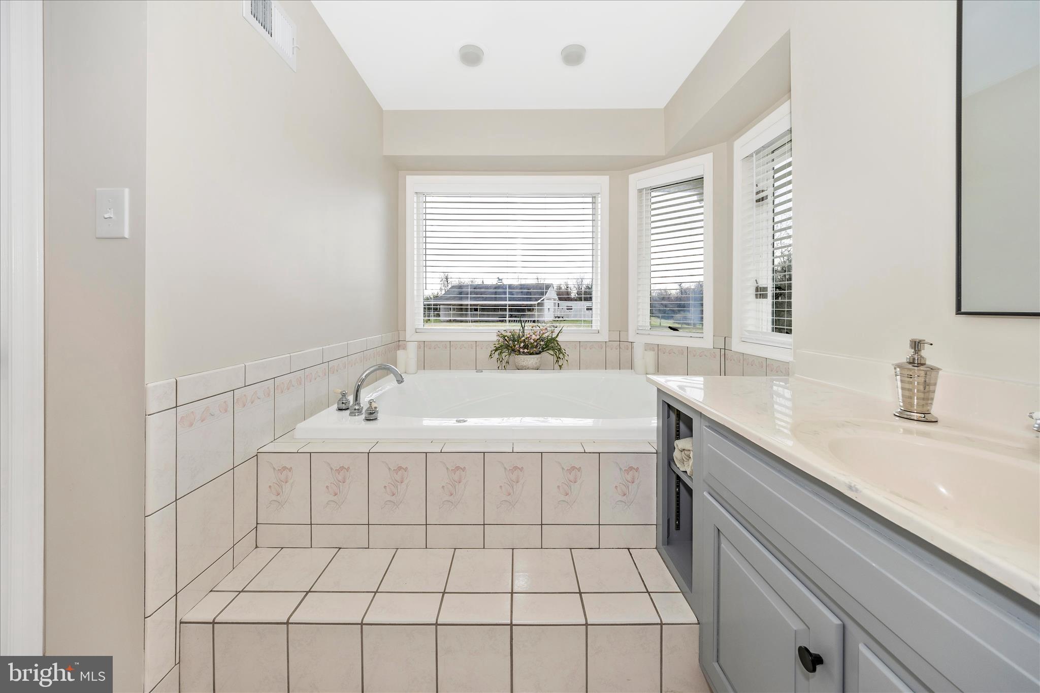 8708 Reichs Ford Road Frederick, MD 21704 - Photo 28 of 88 Primary Bathroom