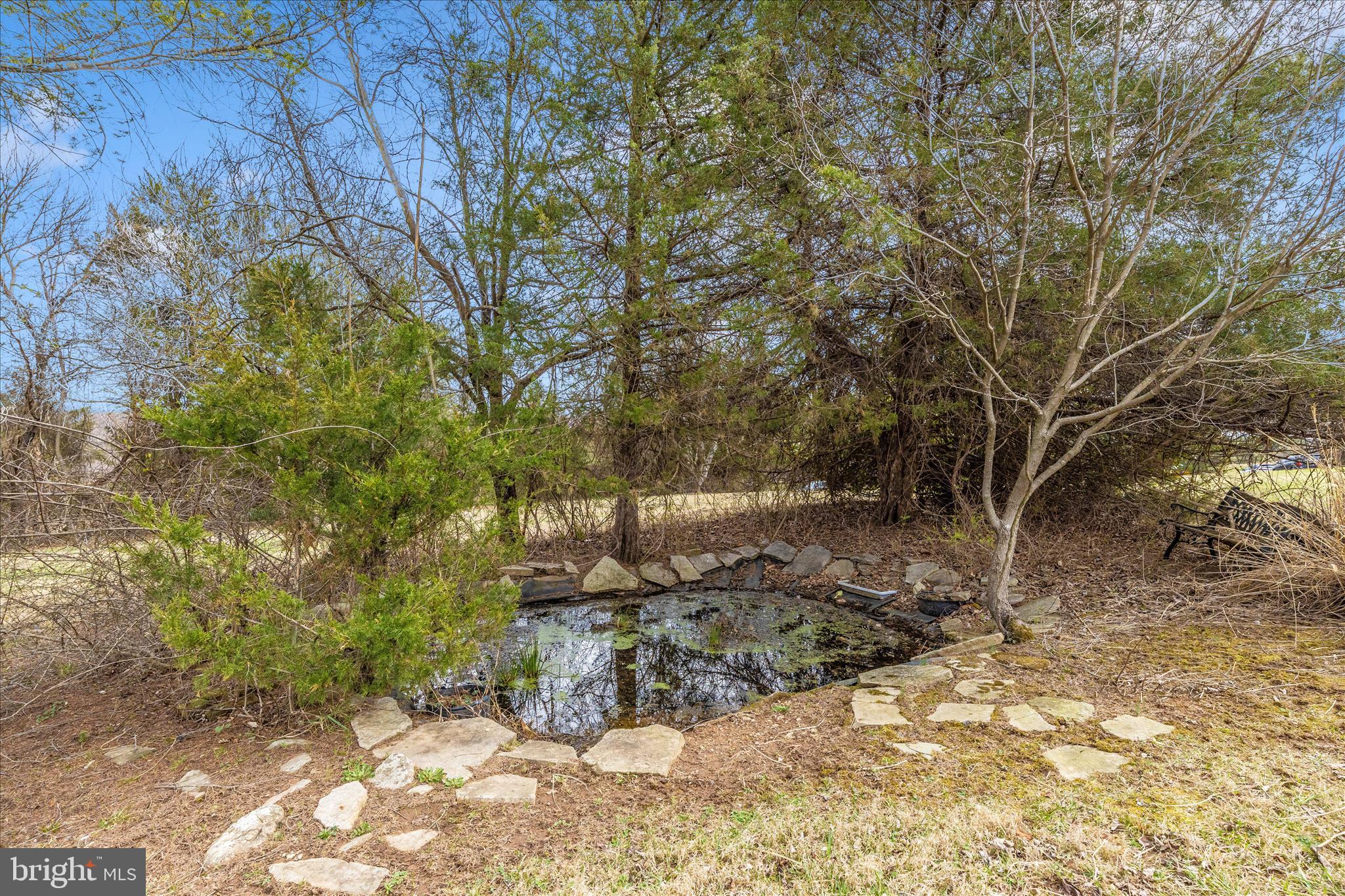 8708 Reichs Ford Road Frederick, MD 21704 - Photo 51 of 88 Pond
