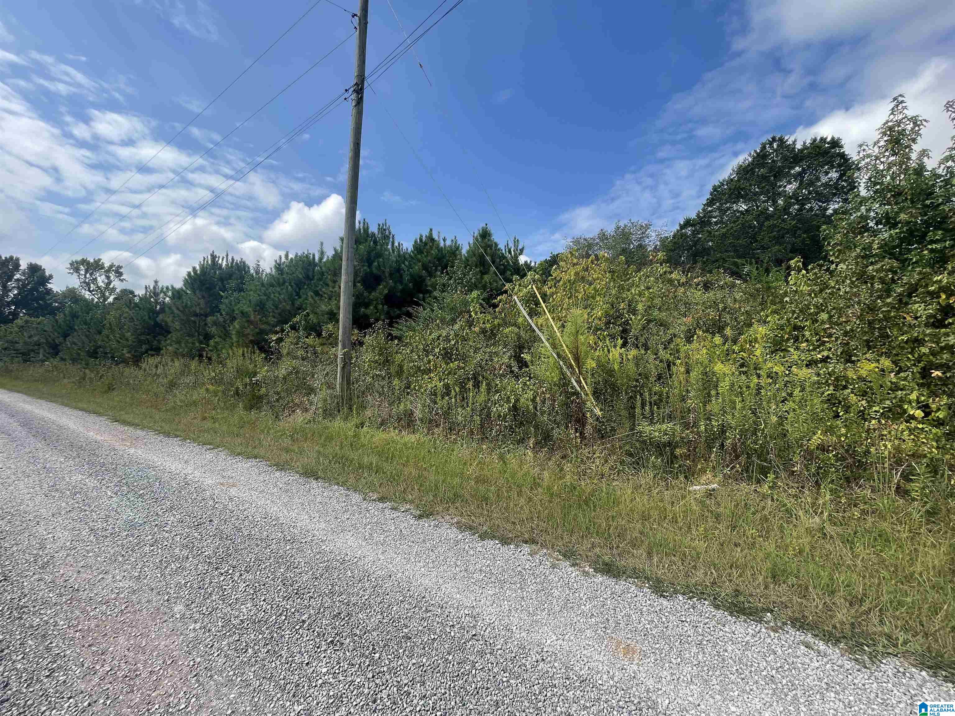 2941 County Line Drive, Unit 1 Trafford, AL 35172 - Photo 12 of 15