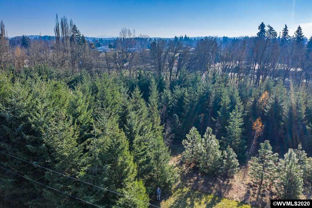 Cordon (parcel 3) Road Salem, OR 97317 - Photo 9 of 18