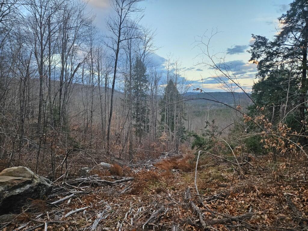 0 River Road Hiram, ME 04041 - Photo 3 of 30 distant view 2