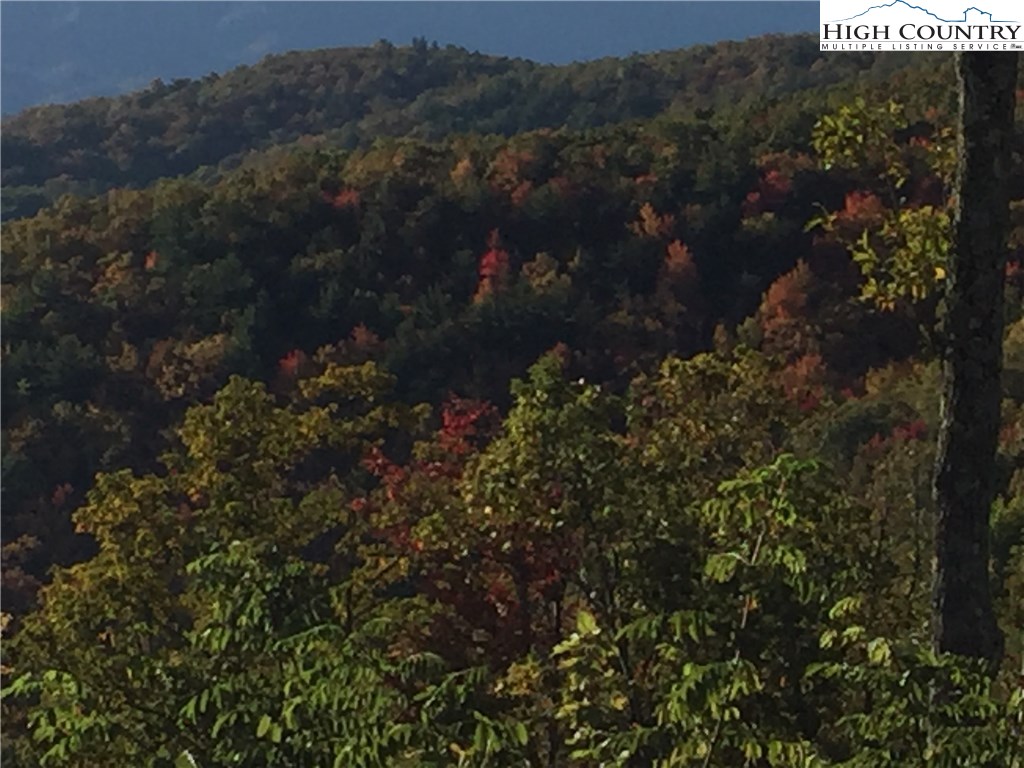Lot 1332 Pogonia Road Boone, NC 28607 - Photo 3 of 14 Gallery Image 3
