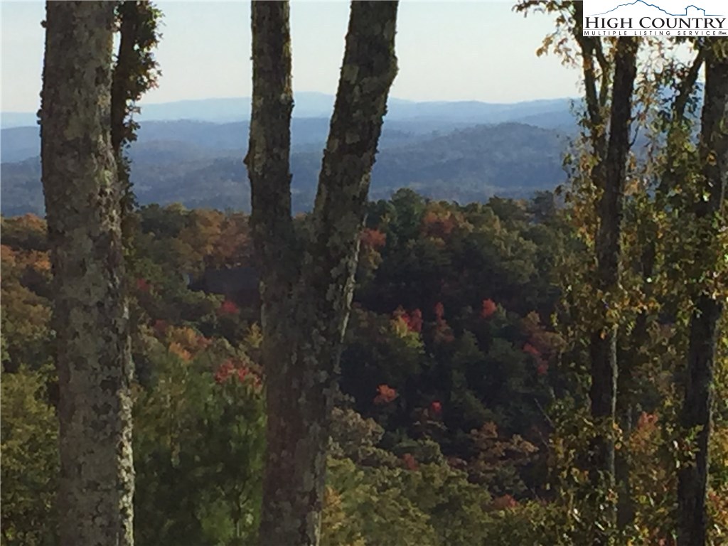Lot 1332 Pogonia Road Boone, NC 28607 - Photo 4 of 14 Gallery Image 4