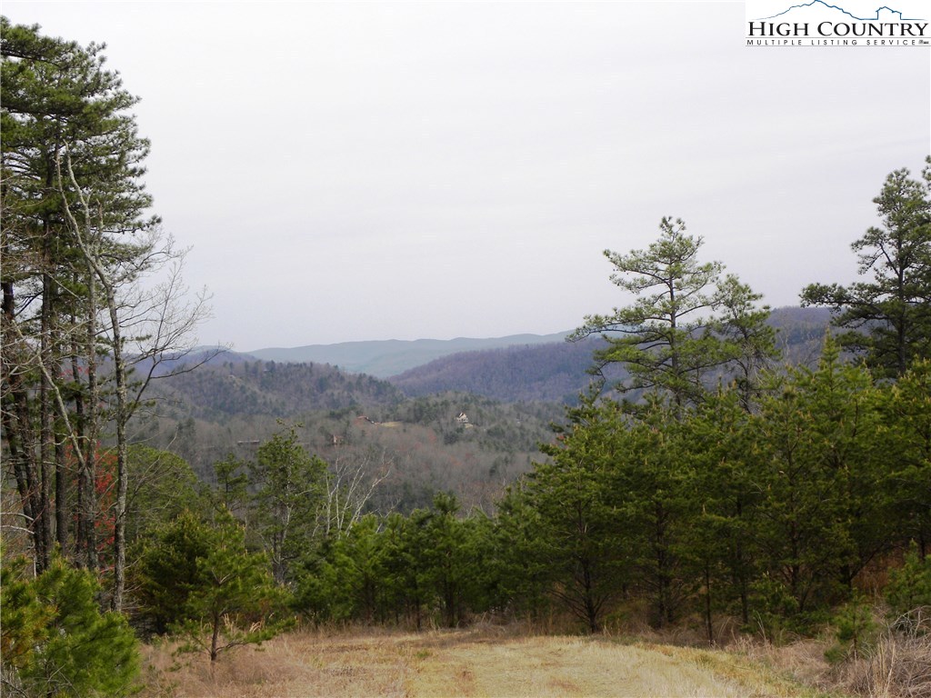 Lot 1332 Pogonia Road Boone, NC 28607 - Photo 10 of 14 Gallery Image 10