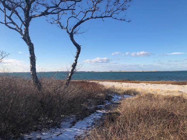 199 Harbor Point Road Barnstable, MA 02675 - Photo 27 of 27 broman beach