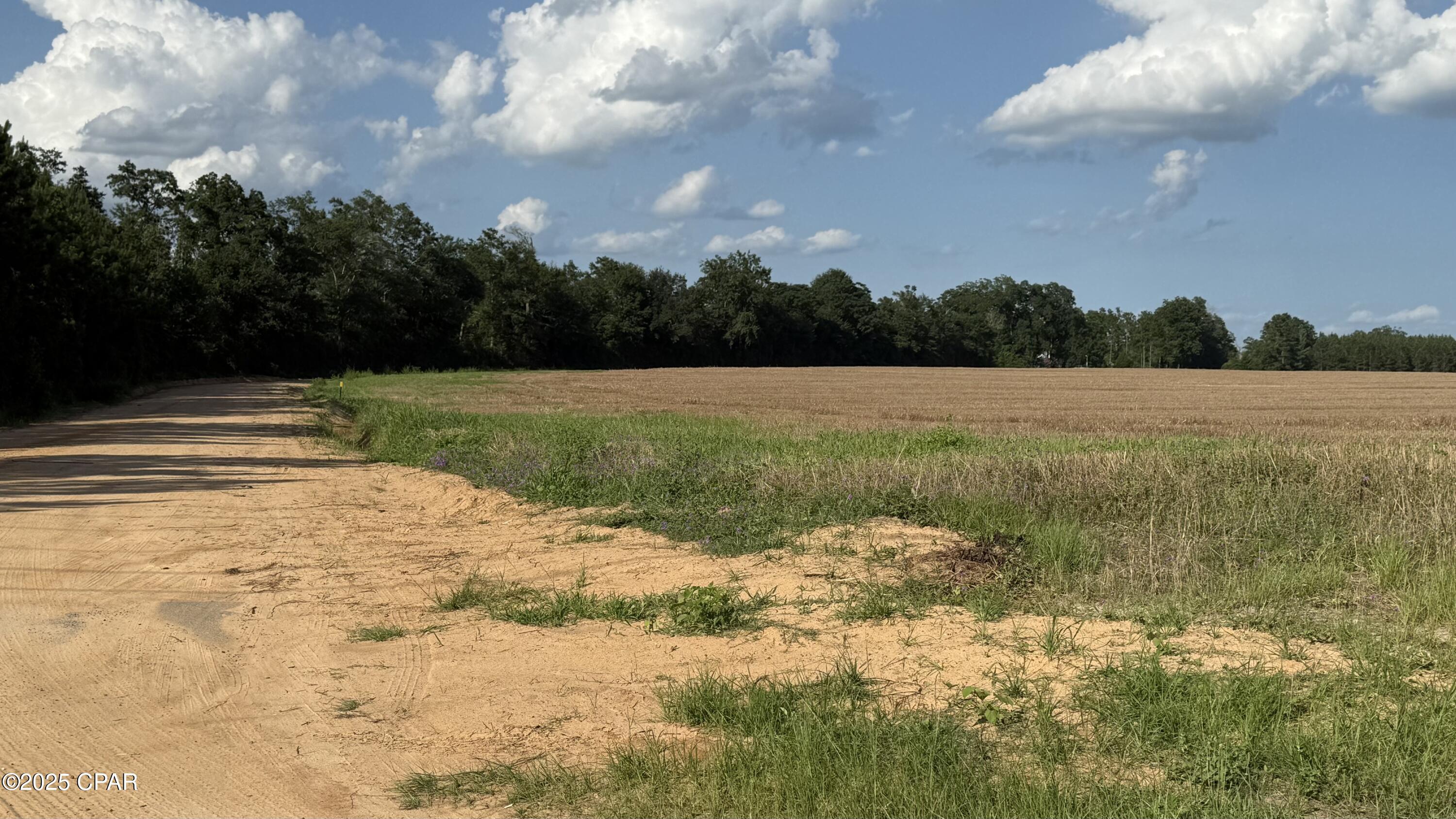 0 Sr-71 Marianna, FL 32448 - Photo 2 of 3