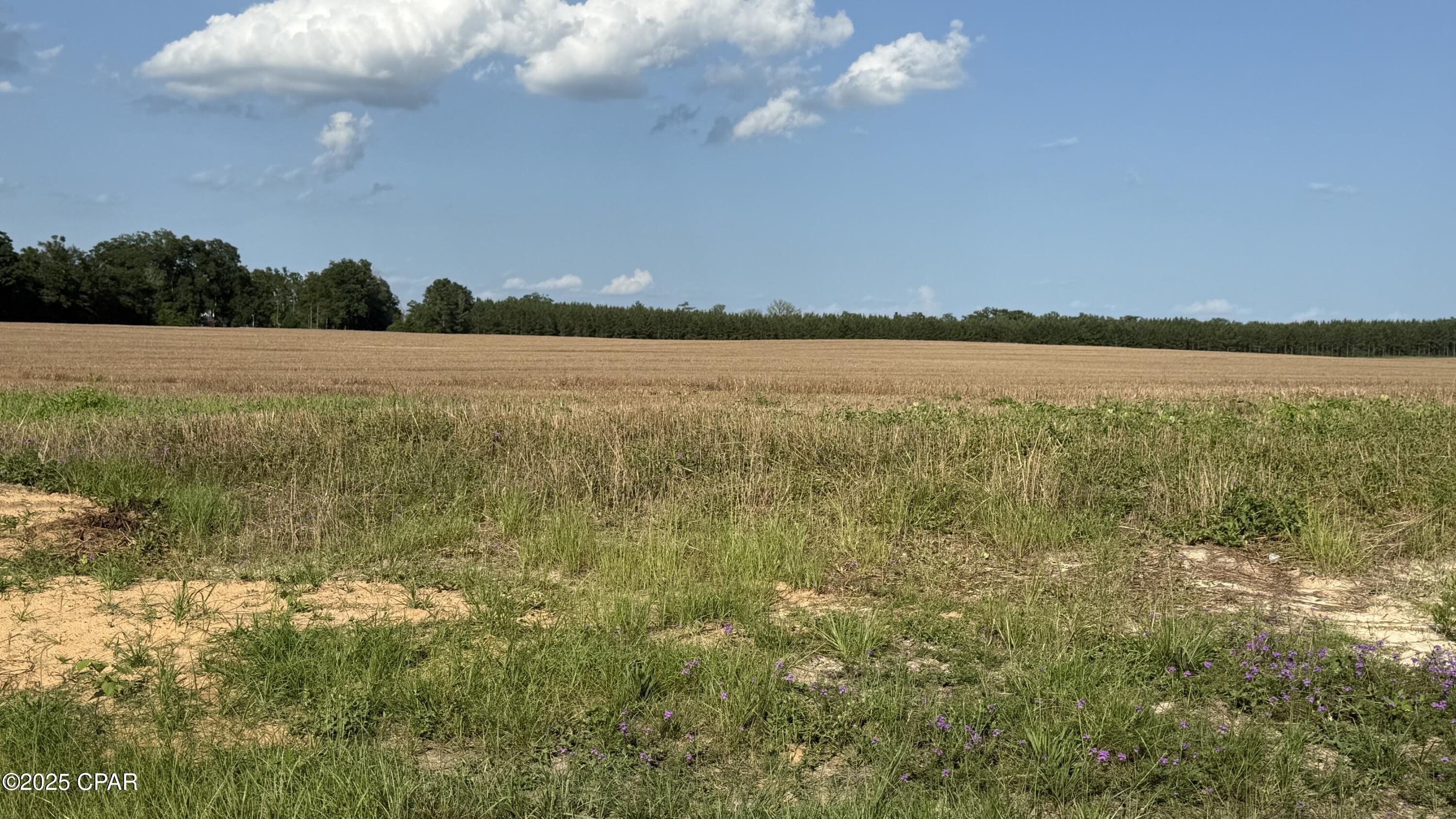 0 Sr-71 Marianna, FL 32448 - Photo 3 of 3