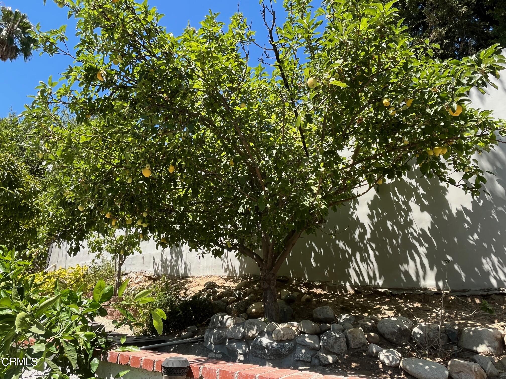 25049 Highspring Avenue Newhall, CA 91321 - Photo 35 of 52 apple1