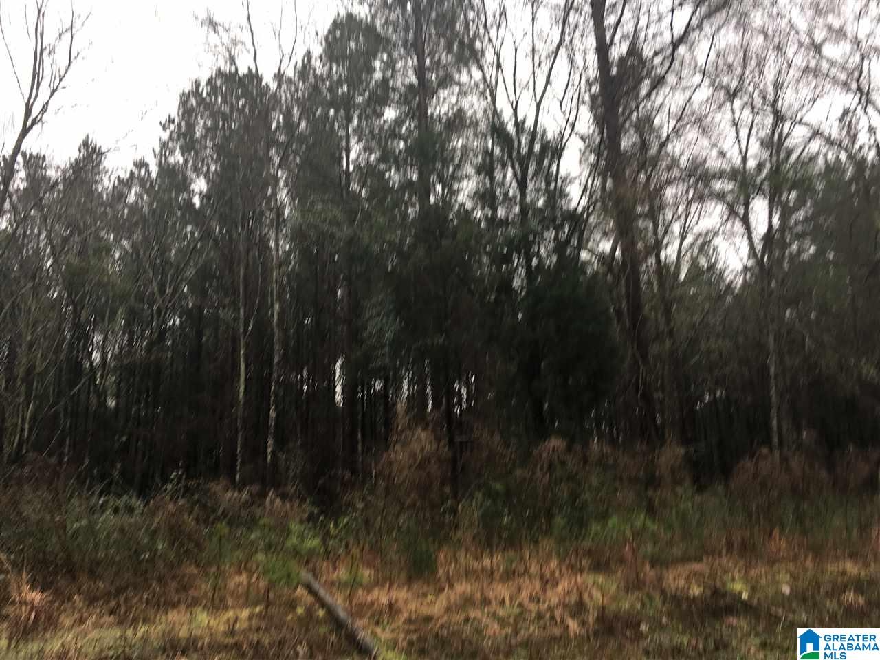 1245 Eureka Road, Unit 2 Lincoln, AL 35096 - Photo 18 of 32