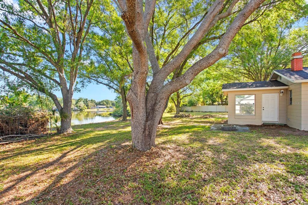9608 Springbrook Drive Riverview, FL 33578 - Photo 36 of 61