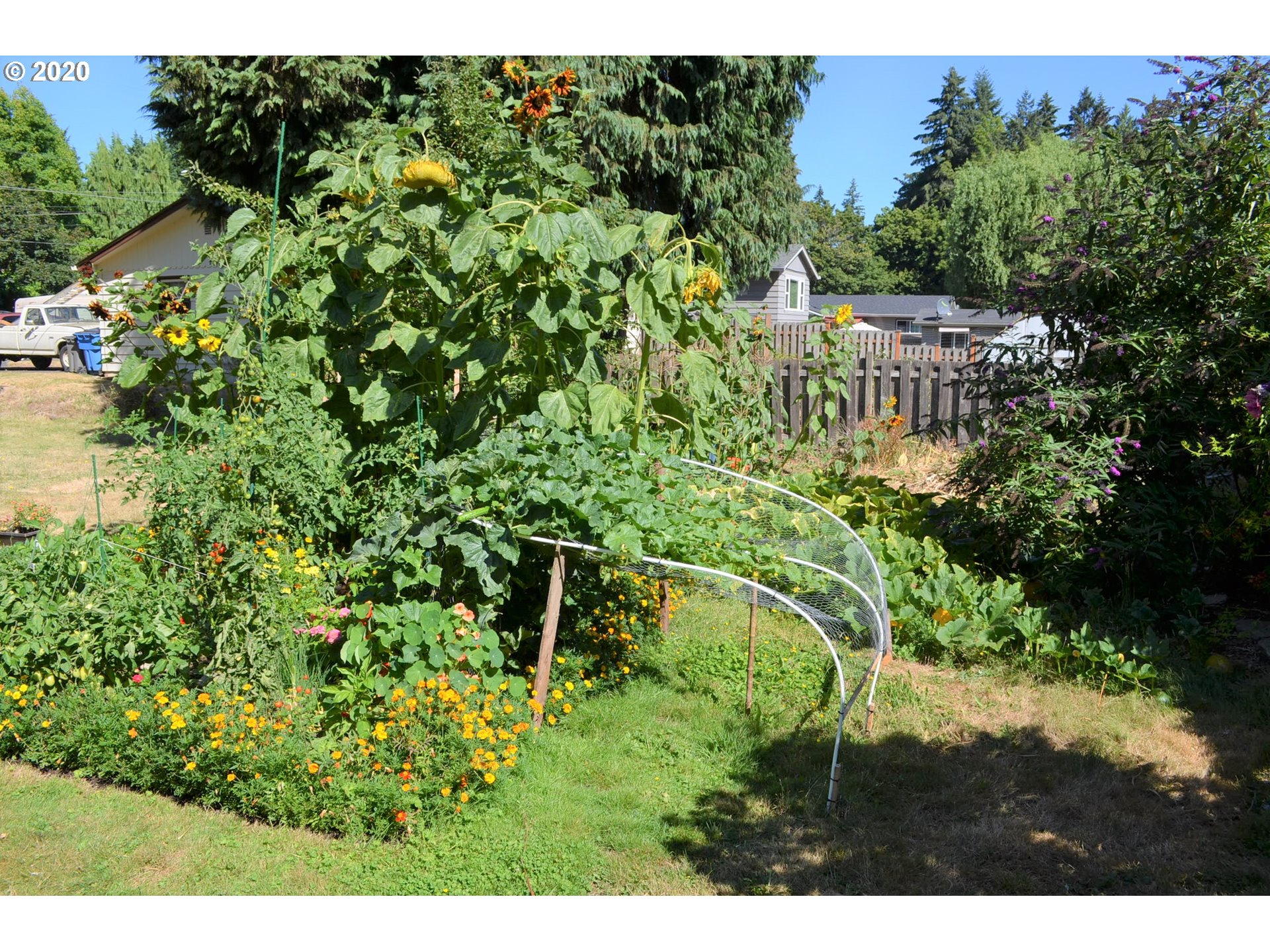 0 North 4th Avenue Ridgefield, WA 98642 - Photo 6 of 9