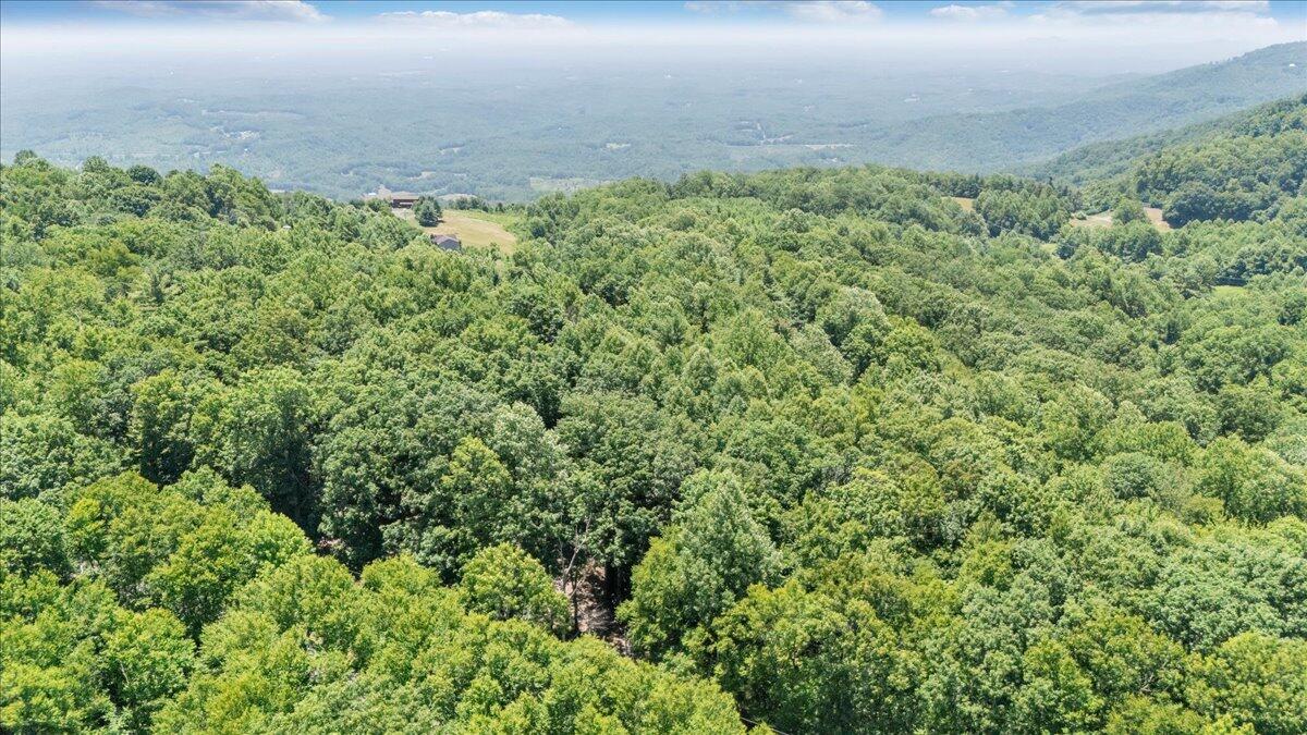 Tbd Dogwood Ridge Fancy Gap, VA 24328 - Photo 13 of 24 05-DJI_20260702131142_0005_D