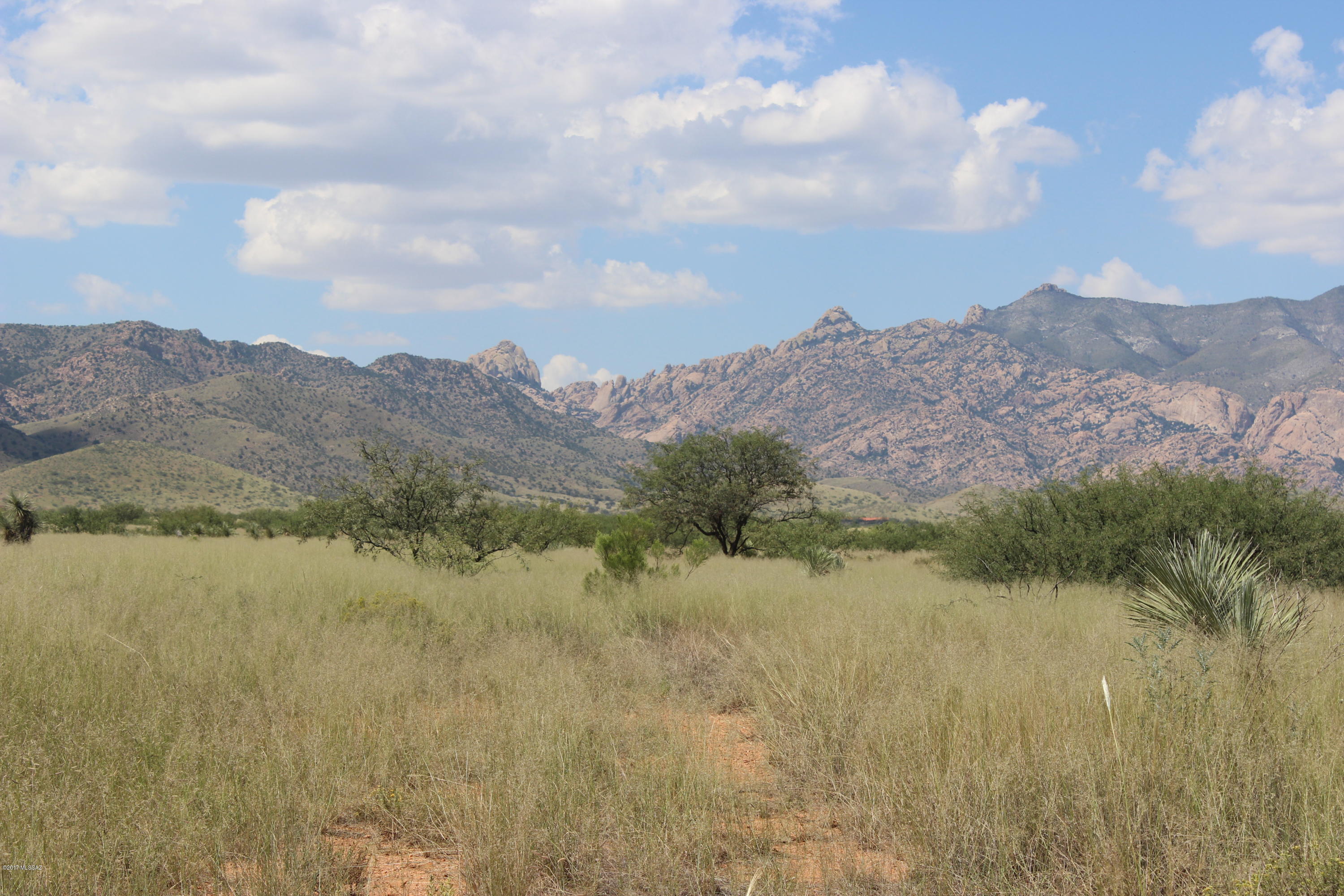 245 Willcox Road, Unit 256/2 Pearce, AZ 85625 - Photo 8 of 10