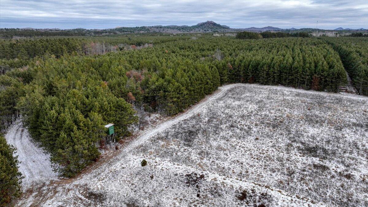 1565 Highway 71 Little Falls, WI 54656 - Photo 35 of 56 31-MLS