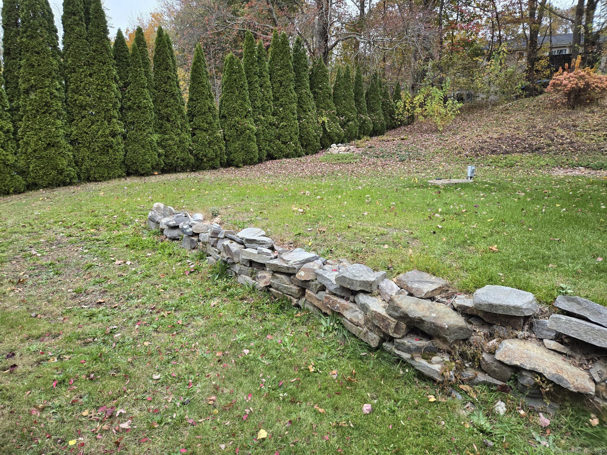 109 Mountain Spring Road Tolland, CT 06084 - Photo 27 of 33 a view of a lush green forest with lots of trees
