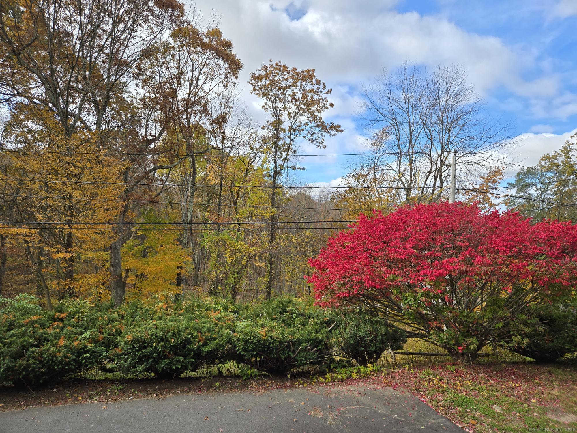 109 Mountain Spring Road Tolland, CT 06084 - Photo 28 of 33 a view of street with flower plants