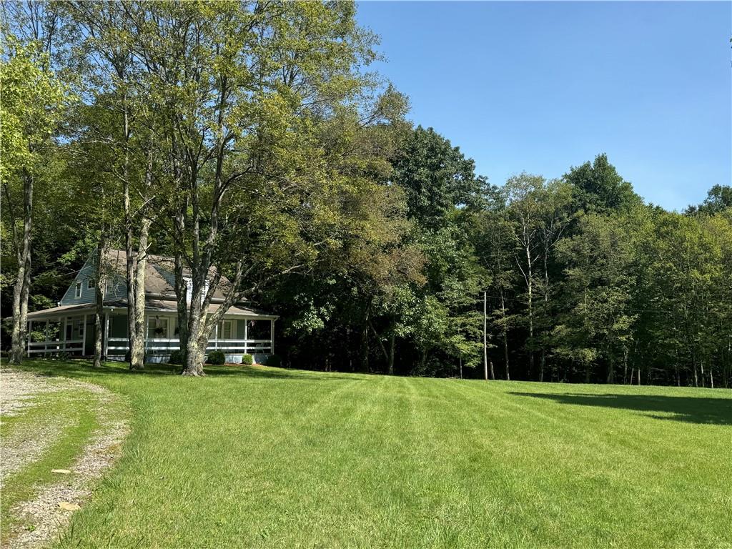 3599 Pine Vale Road Rochester Mills, PA 15771 - Photo 14 of 19