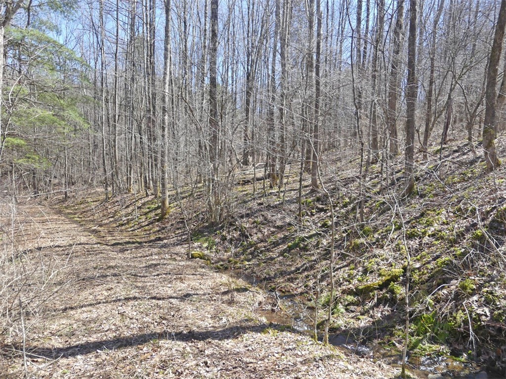 5565 Beech Hill Road Andes, NY 13731 - Photo 11 of 21