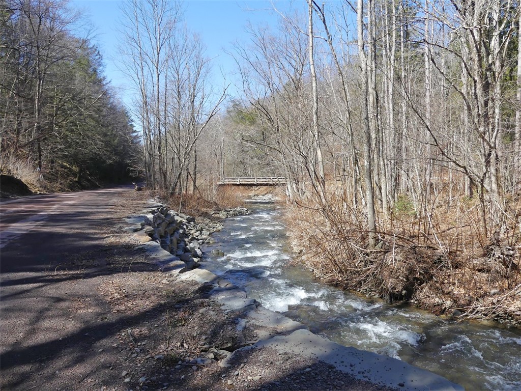 5565 Beech Hill Road Andes, NY 13731 - Photo 12 of 21 Stream across road
