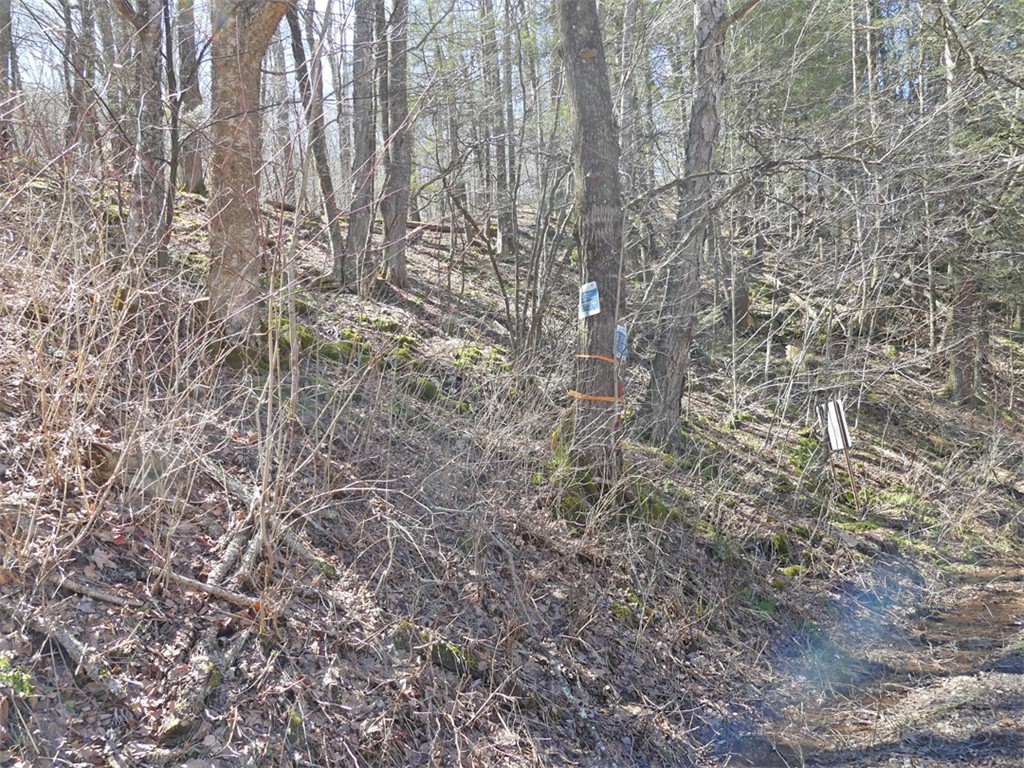 5565 Beech Hill Road Andes, NY 13731 - Photo 13 of 21