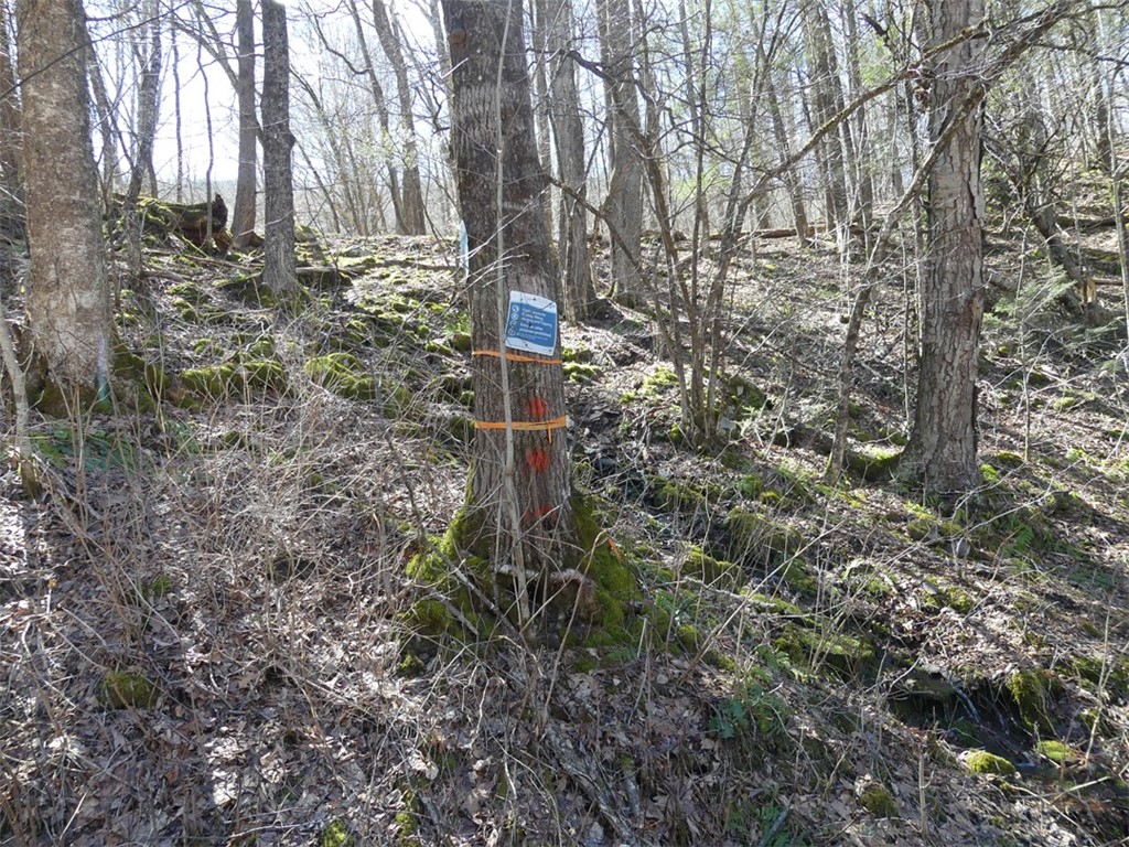 5565 Beech Hill Road Andes, NY 13731 - Photo 14 of 21 Borders DEP land