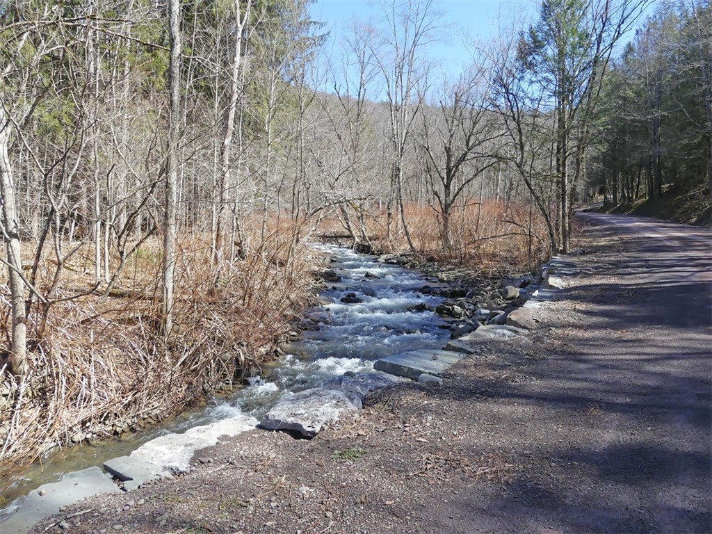 5565 Beech Hill Road Andes, NY 13731 - Photo 15 of 21 Stream across road