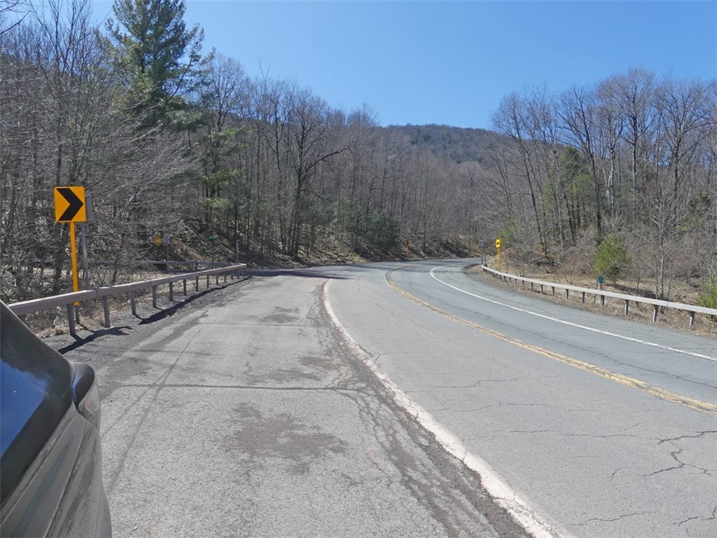 5565 Beech Hill Road Andes, NY 13731 - Photo 16 of 21 NYS Rte 30