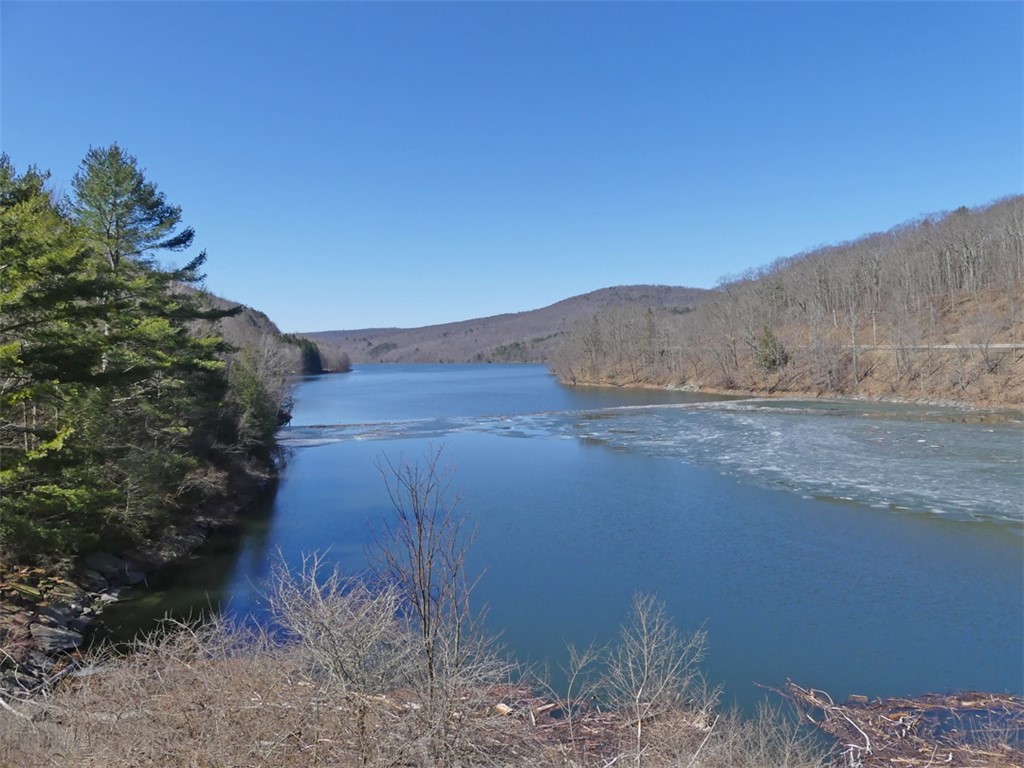 5565 Beech Hill Road Andes, NY 13731 - Photo 17 of 21 Pepacton Reservoir