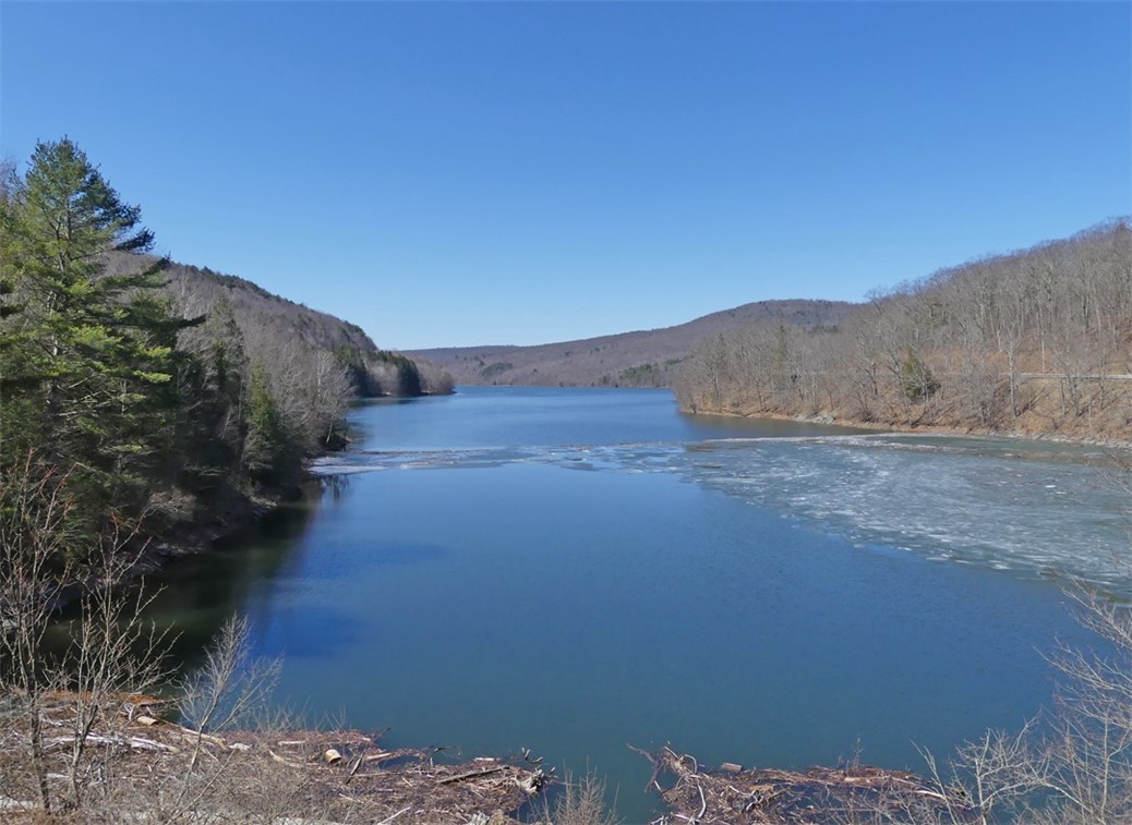 5565 Beech Hill Road Andes, NY 13731 - Photo 18 of 21 Pepacton Reservoir