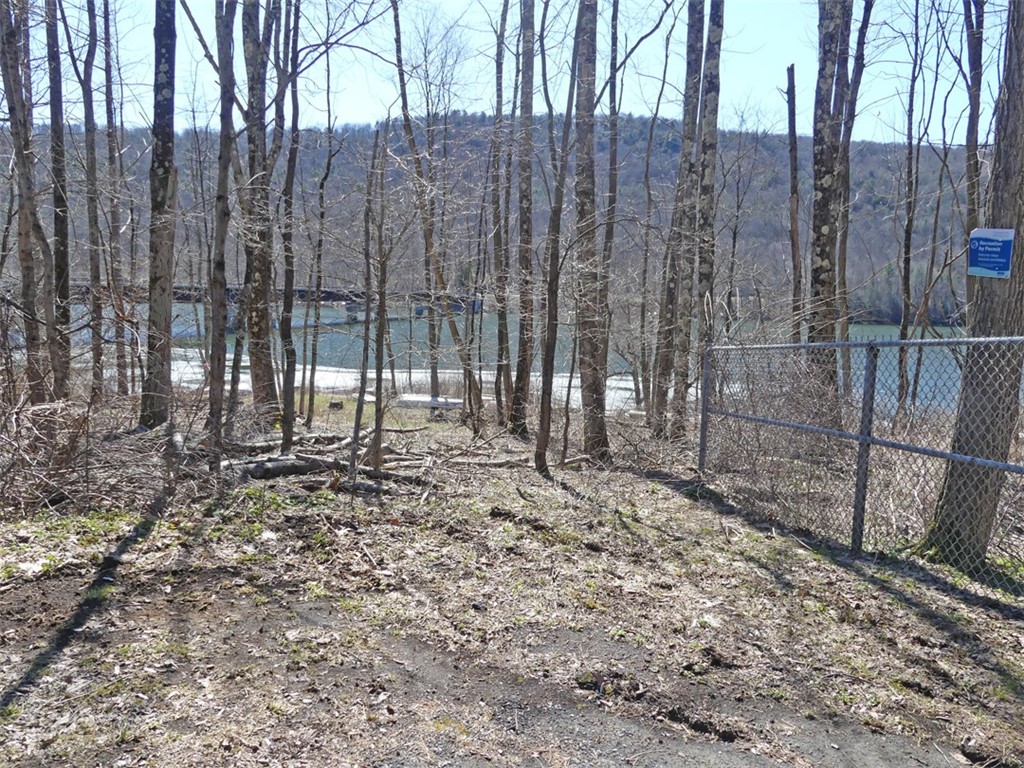 5565 Beech Hill Road Andes, NY 13731 - Photo 20 of 21