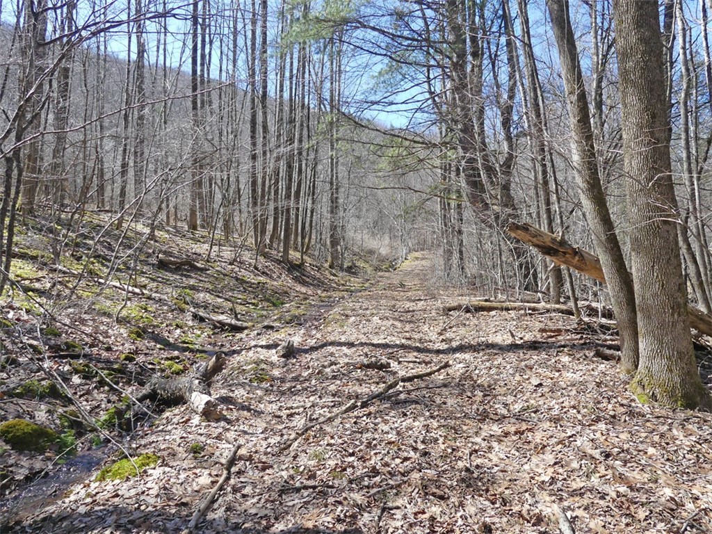 5565 Beech Hill Road Andes, NY 13731 - Photo 2 of 21