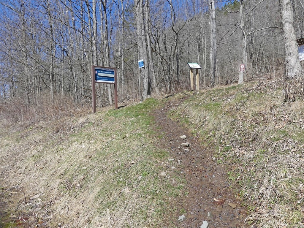 5565 Beech Hill Road Andes, NY 13731 - Photo 21 of 21 Trail Head to Snake Pond overlooking Reservoir