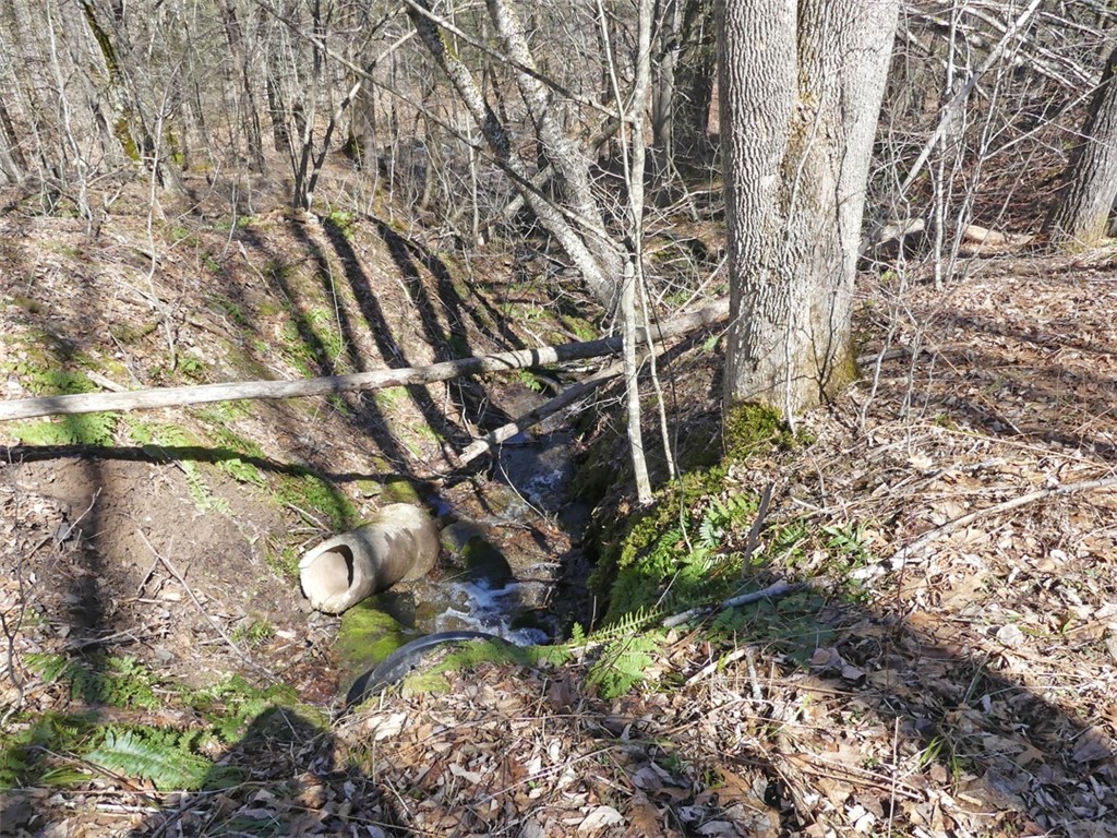 5565 Beech Hill Road Andes, NY 13731 - Photo 3 of 21