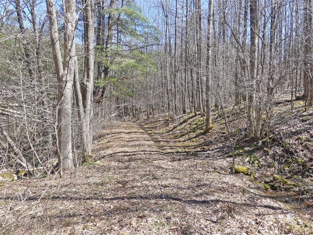 5565 Beech Hill Road Andes, NY 13731 - Photo 4 of 21