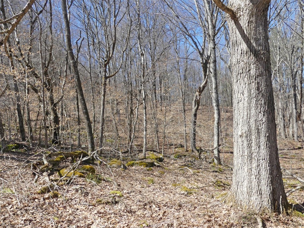 5565 Beech Hill Road Andes, NY 13731 - Photo 6 of 21