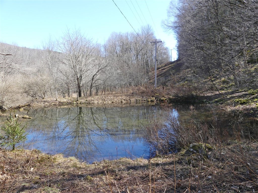 5565 Beech Hill Road Andes, NY 13731 - Photo 8 of 21