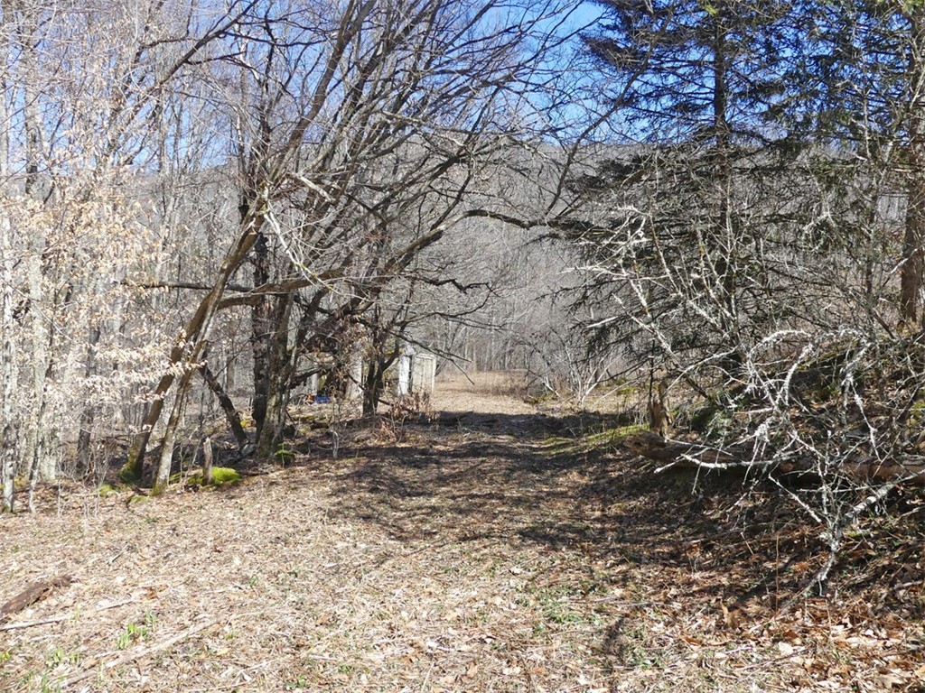 5565 Beech Hill Road Andes, NY 13731 - Photo 9 of 21