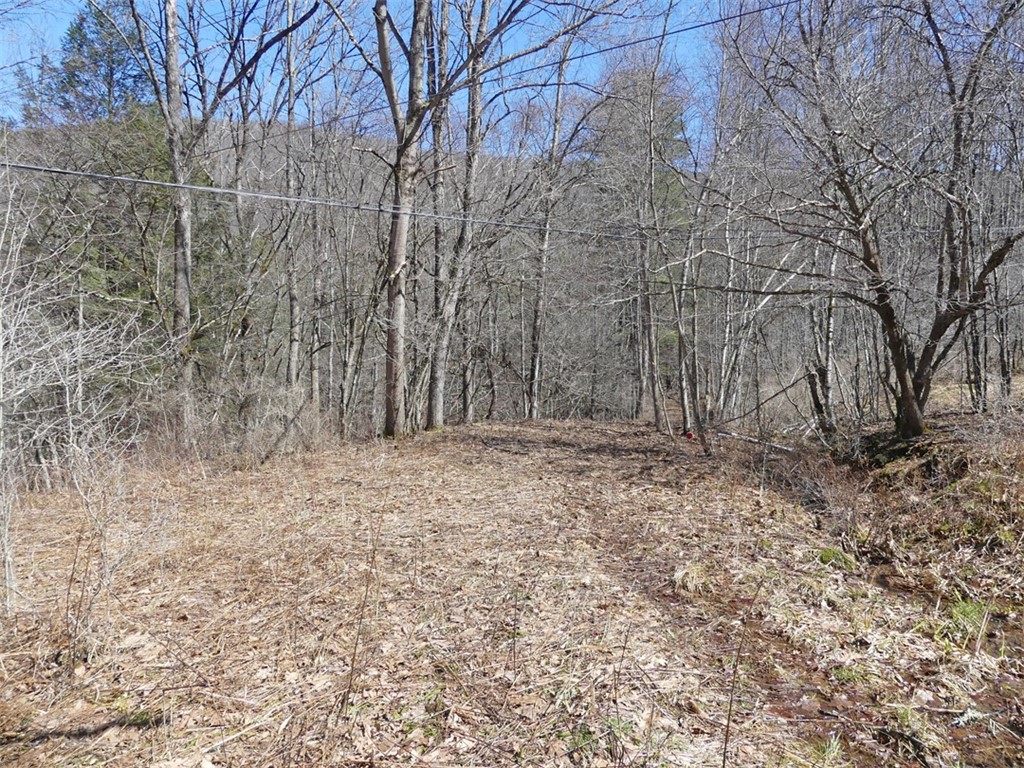 5565 Beech Hill Road Andes, NY 13731 - Photo 10 of 21