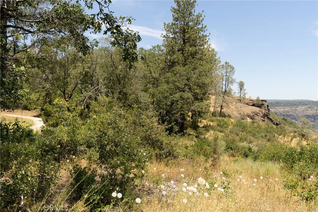0 Doe Mill Road Magalia, CA 95954 - Photo 11 of 50